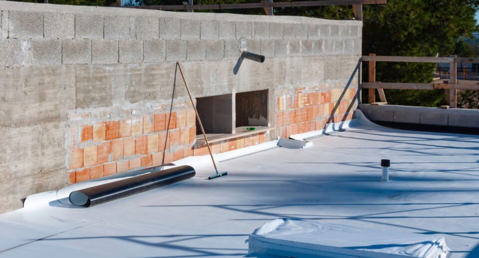 Shannon Swanick TPO: What Industry Experts Won’t Tell You About Roofing