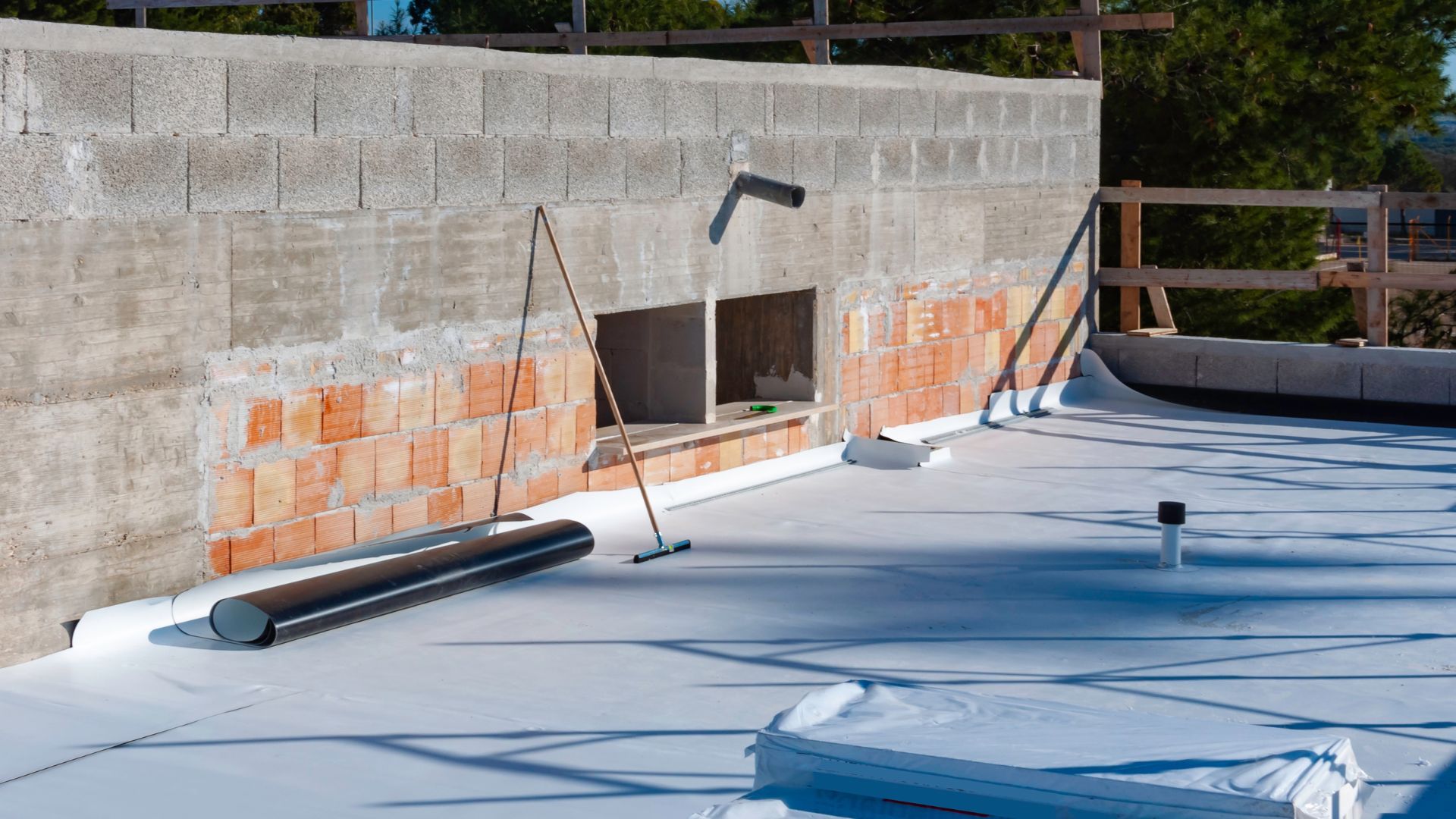 Shannon Swanick TPO: What Industry Experts Won’t Tell You About Roofing